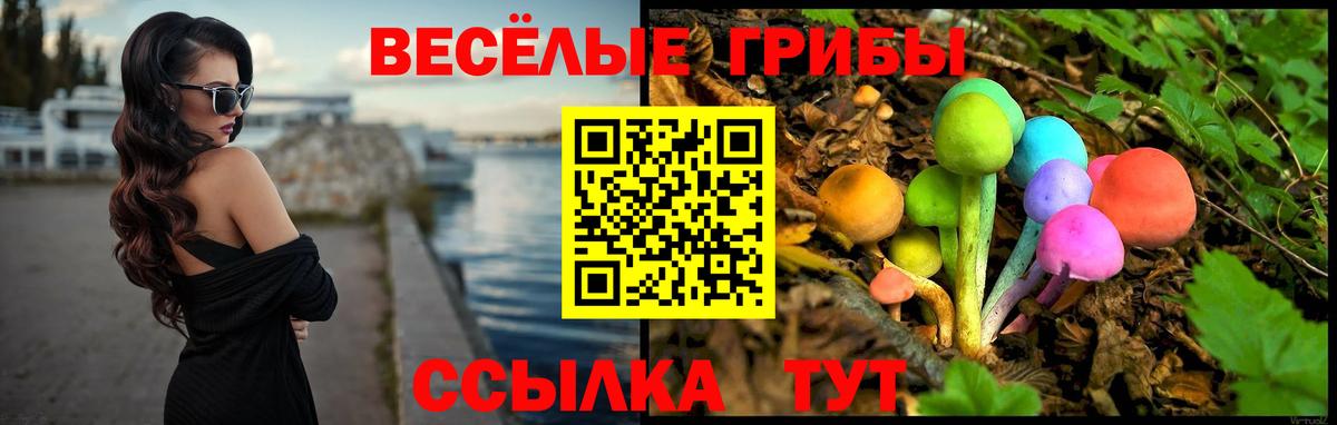 Галлюциногенные грибы мухоморы Котельники